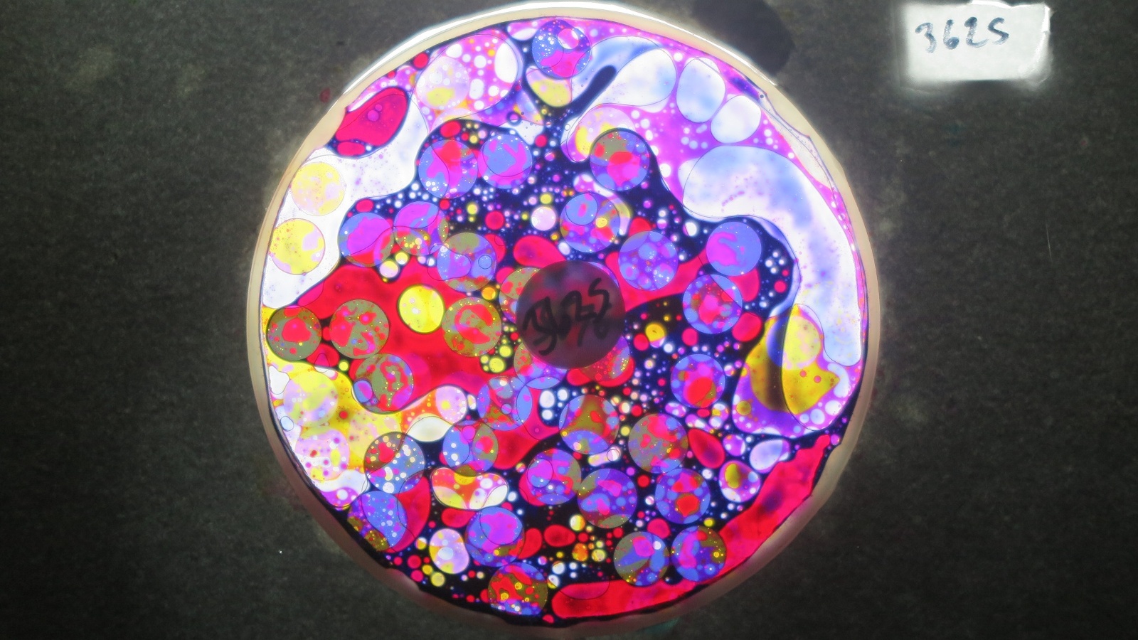 BV3625 bubble vision oil wheel